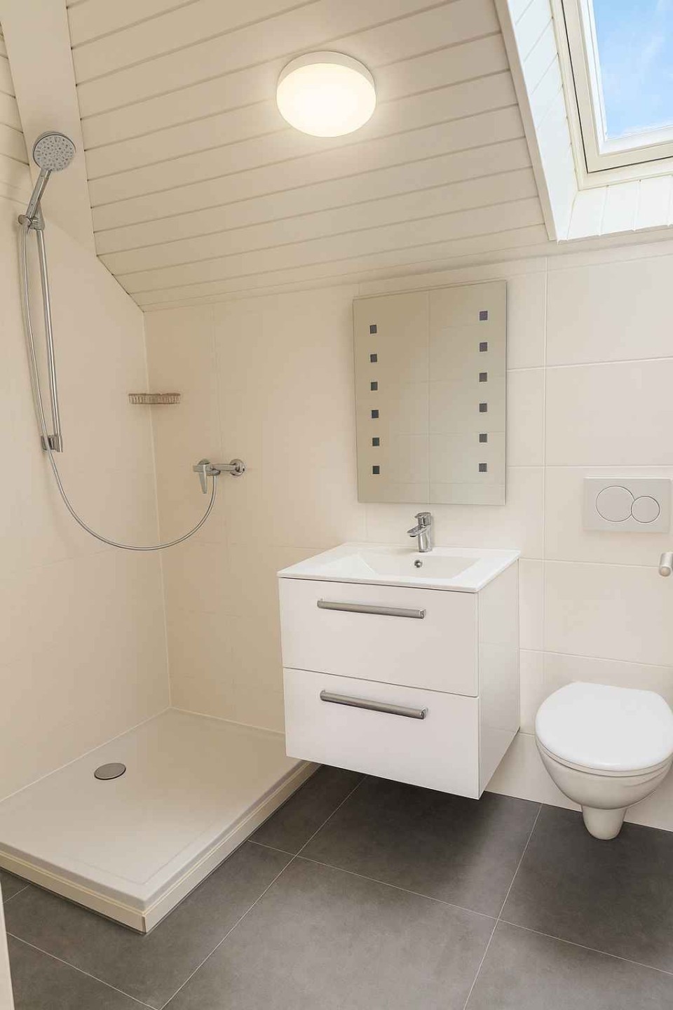  Rare Find! Stunning Duplex in the Heart of Geneva 