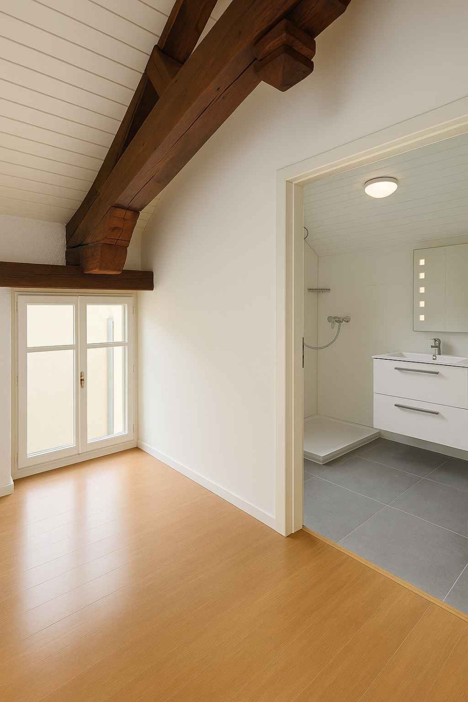  Rare Find! Stunning Duplex in the Heart of Geneva 