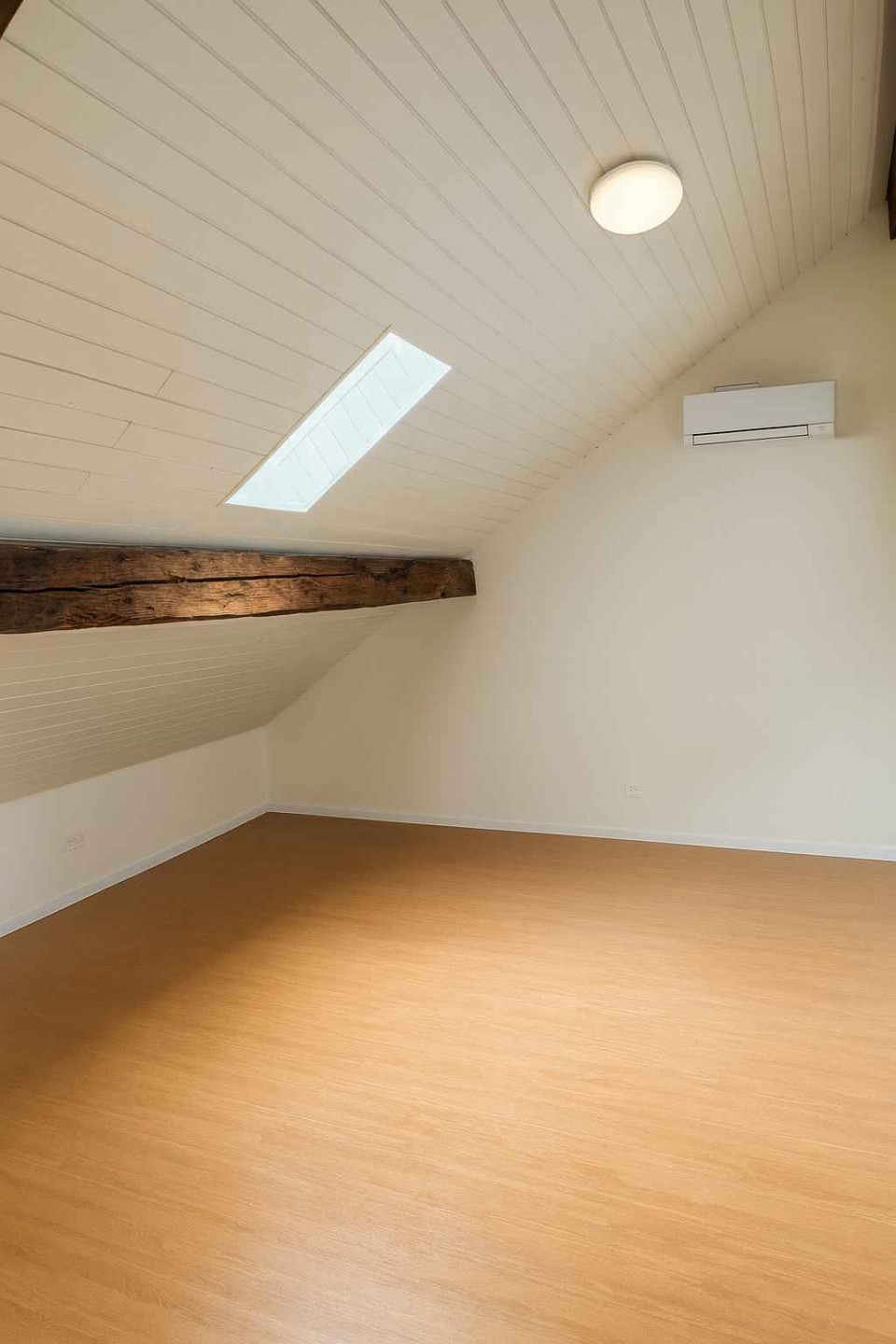  Rare Find! Stunning Duplex in the Heart of Geneva 