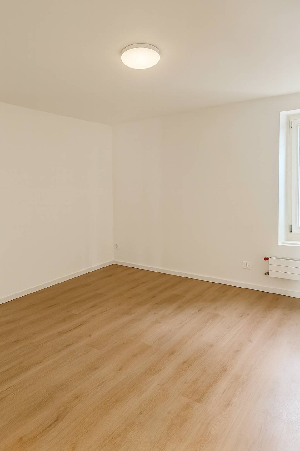  Rare Find! Stunning Duplex in the Heart of Geneva 