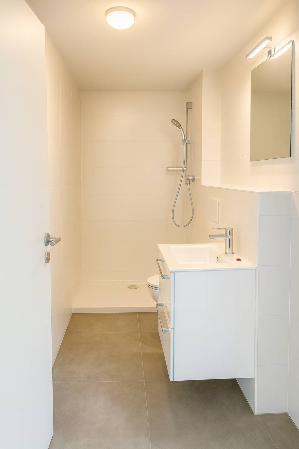  Rare Find! Stunning Duplex in the Heart of Geneva 