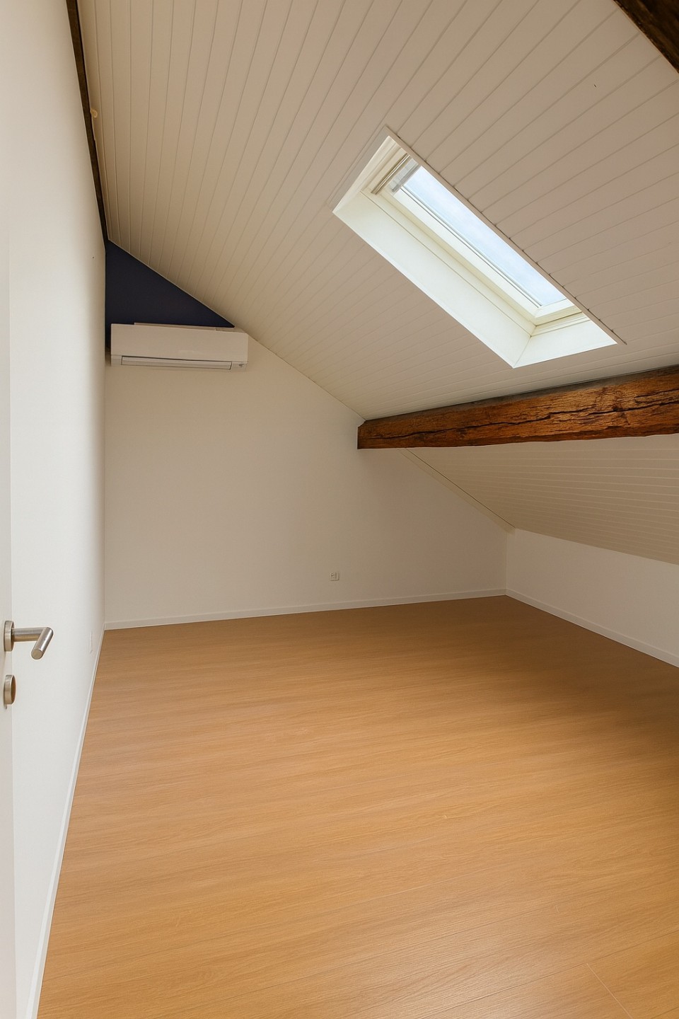  Rare Find! Stunning Duplex in the Heart of Geneva 